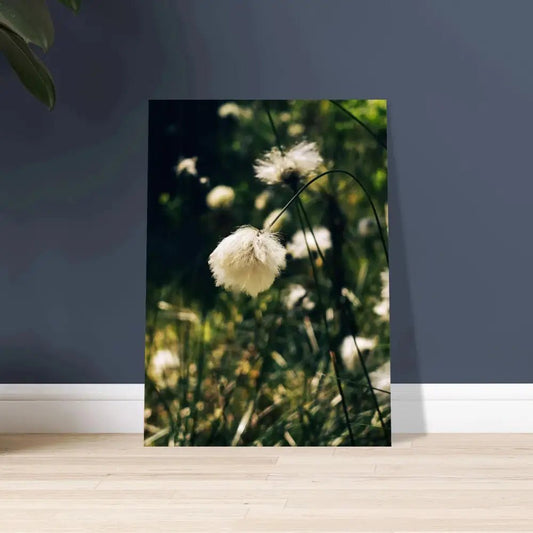 Cotton Grass in Finnish Marshlands - Poster - Rather Be In Finland