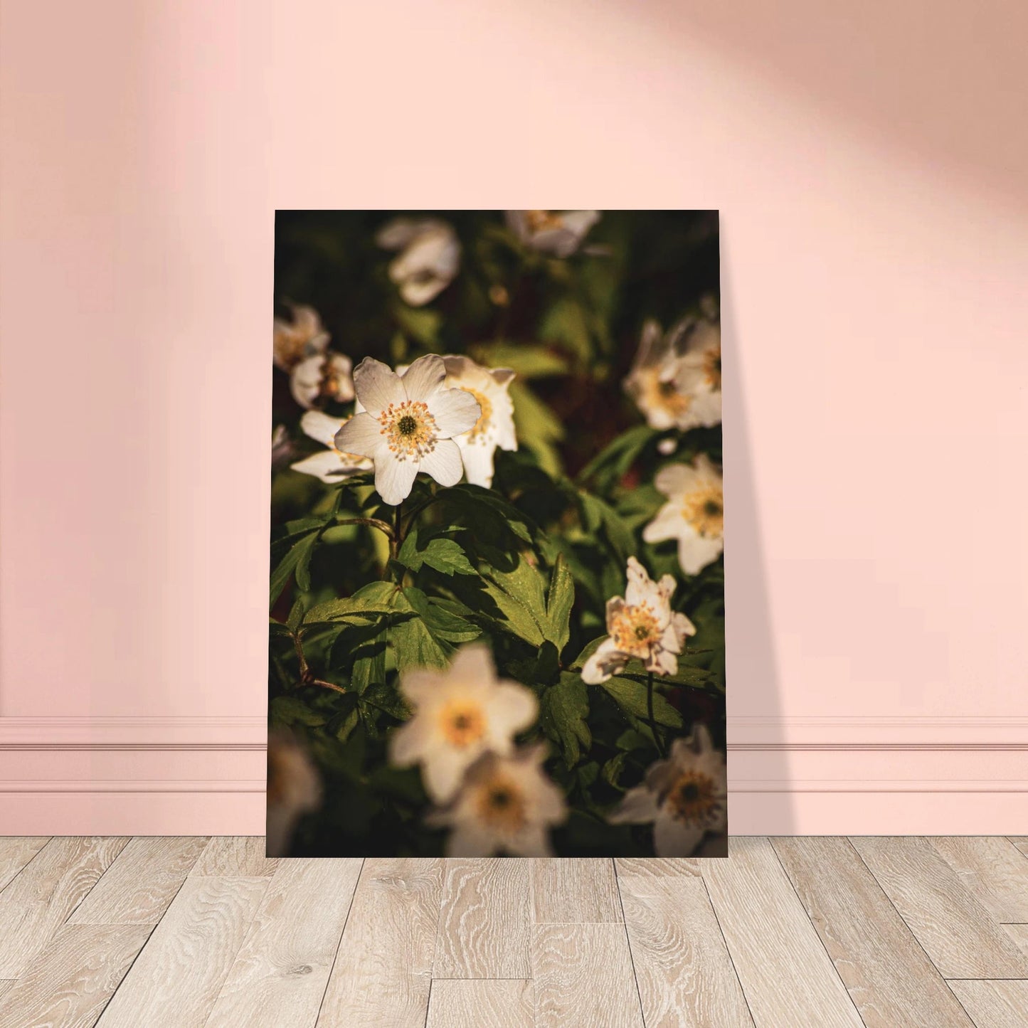 Wood Anemone Wildflower Carpet - Poster - Rather Be In Finland