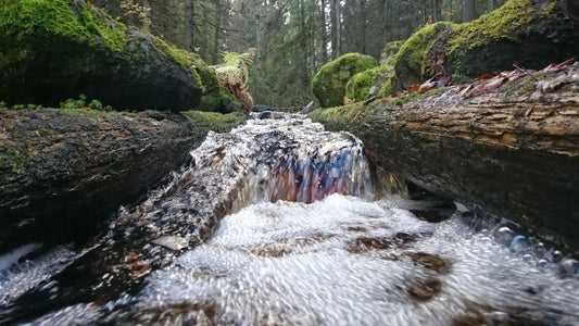 I’d Rather Be in the Forest – How Finns Connect with Nature - Rather Be In Finland