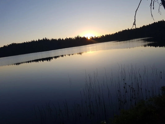 Juhannus in Finland: A Celebration of Light, Silence, and Togetherness - Rather Be In Finland