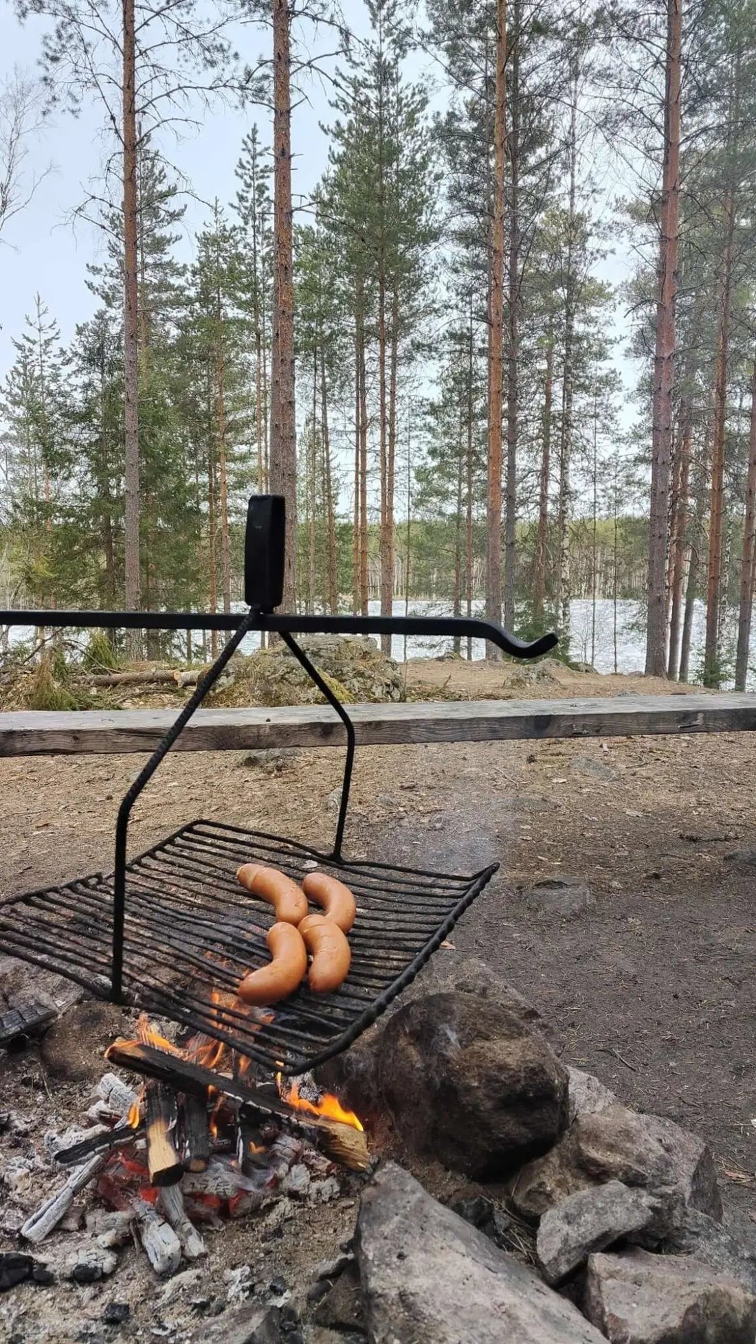 Savoring the Silence: A Family Stroll Through Finland's Spring Forests - Rather Be In Finland