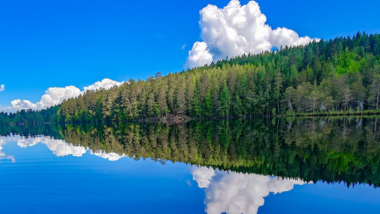 Your First Finnish Sauna: A Gentle Guide for an Autumn Visit - Rather Be In Finland