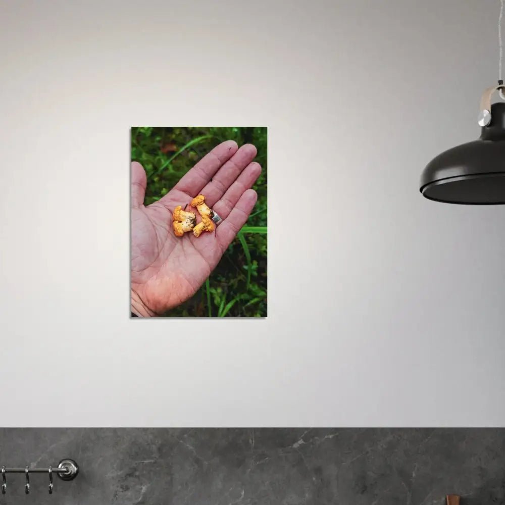 Chanterelles in Hand – Finnish Forest Harvest - Poster - Rather Be In Finland