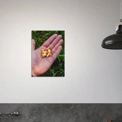 Chanterelles in Hand – Finnish Forest Harvest - Poster - Rather Be In Finland