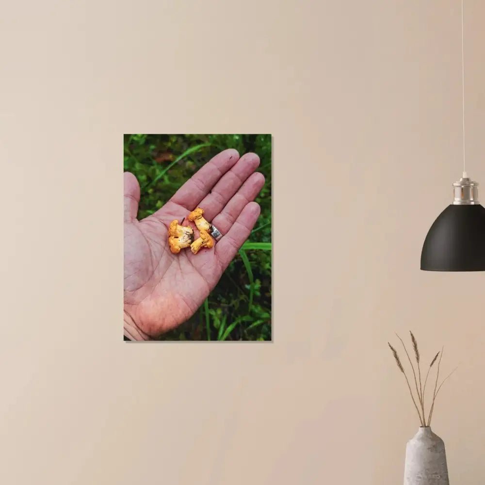 Chanterelles in Hand – Finnish Forest Harvest - Poster - Rather Be In Finland