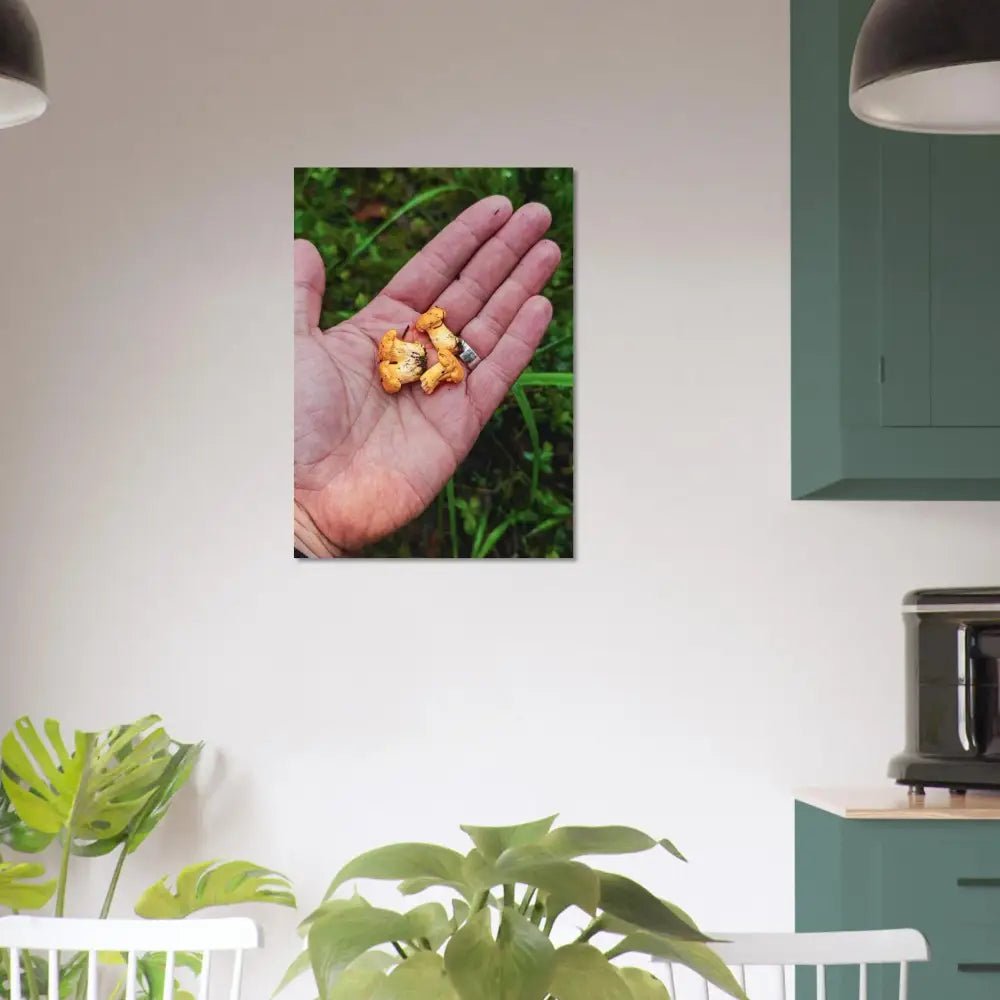Chanterelles in Hand – Finnish Forest Harvest - Poster - Rather Be In Finland