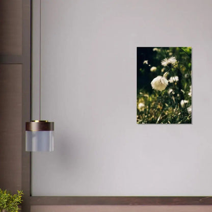 Cotton Grass in Finnish Marshlands - Poster - Rather Be In Finland