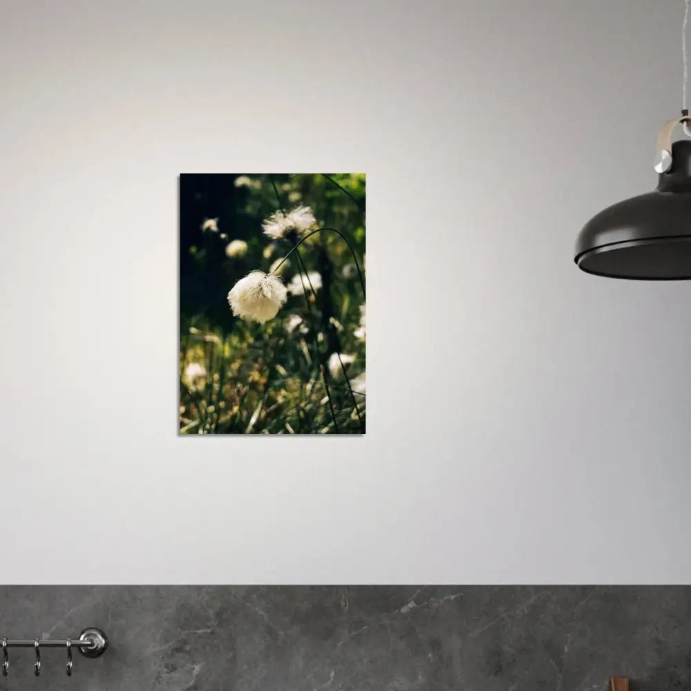 Cotton Grass in Finnish Marshlands - Poster - Rather Be In Finland