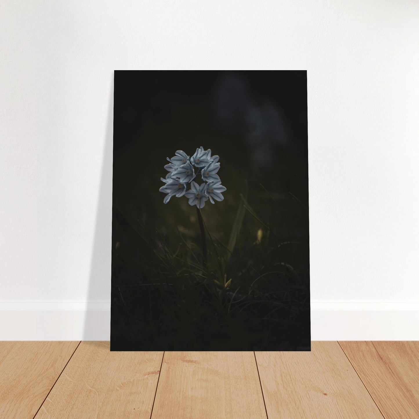 Delicate White Spring Flower - Poster - Rather Be In Finland
