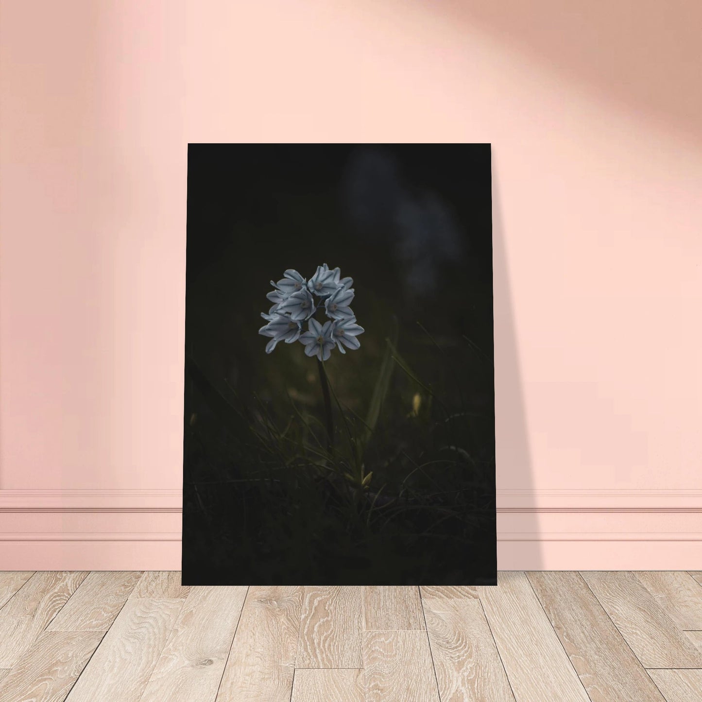 Delicate White Spring Flower - Poster - Rather Be In Finland