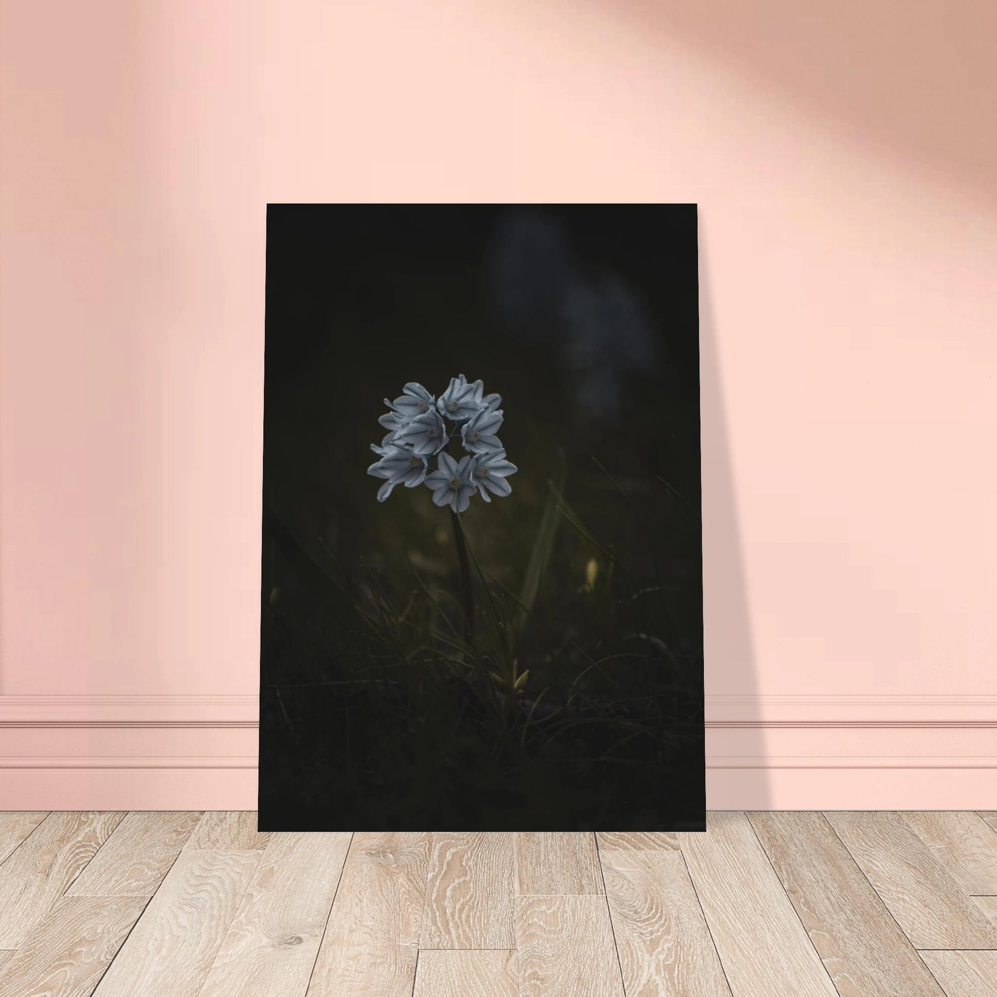 Delicate White Spring Flower - Poster - Rather Be In Finland