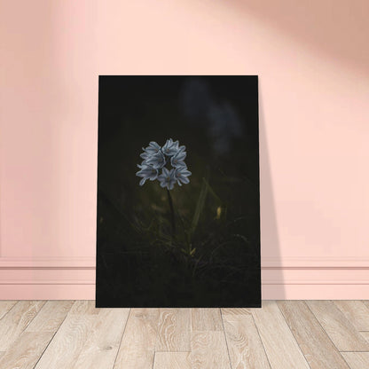Delicate White Spring Flower - Poster - Rather Be In Finland