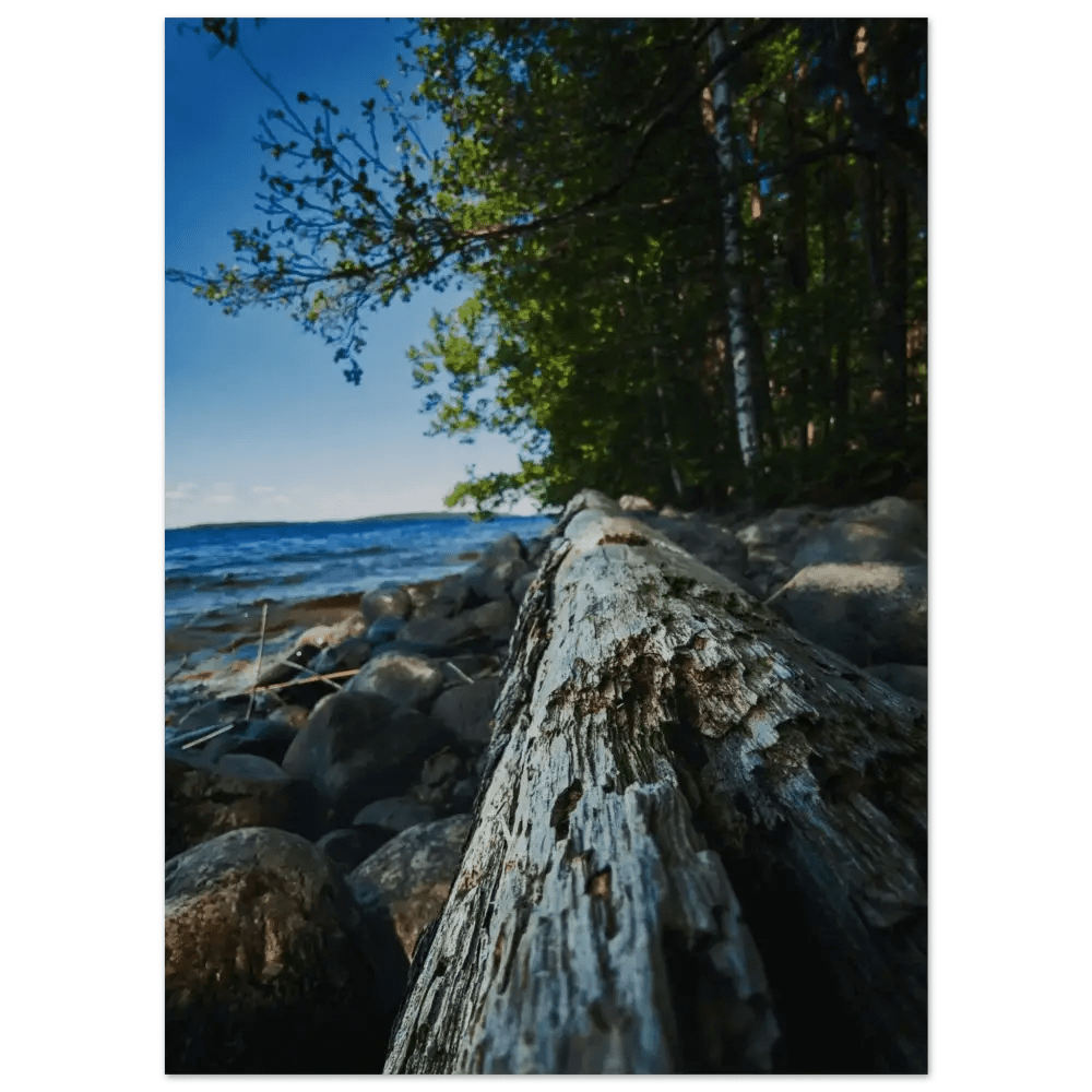 Driftwood on a Finnish Lakeshore - Poster - Rather Be In Finland