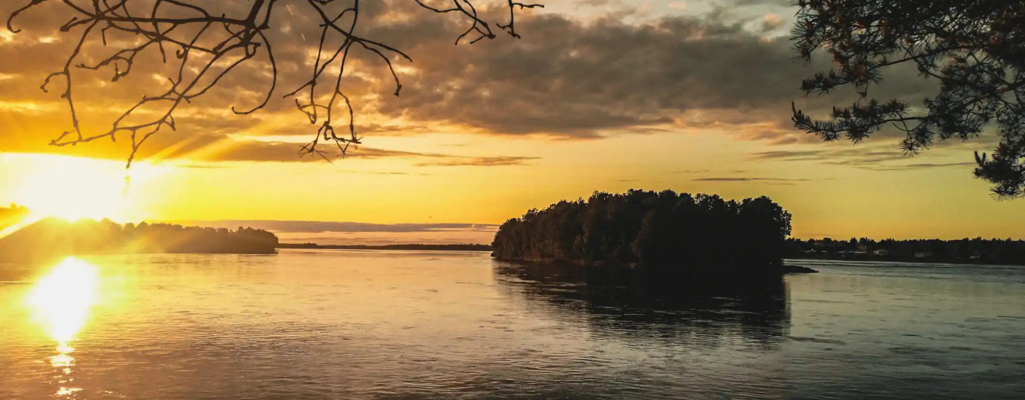finnish brand selling sauna, cottage life and forest themed shirts and posters about finnish countryside scenery