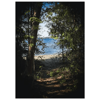 Forest Path to a Finnish Lakeshore - Poster - Rather Be In Finland