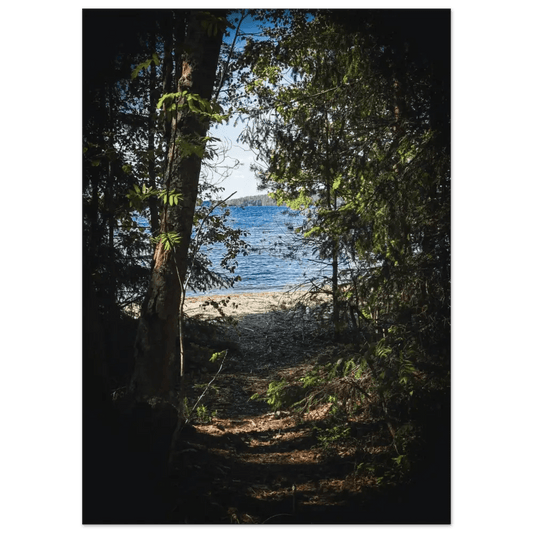 Forest Path to a Finnish Lakeshore - Poster - Rather Be In Finland