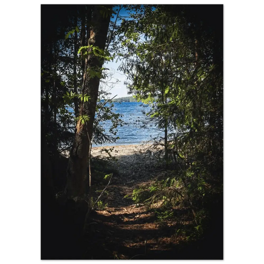 Forest Path to a Finnish Lakeshore - Poster - Rather Be In Finland