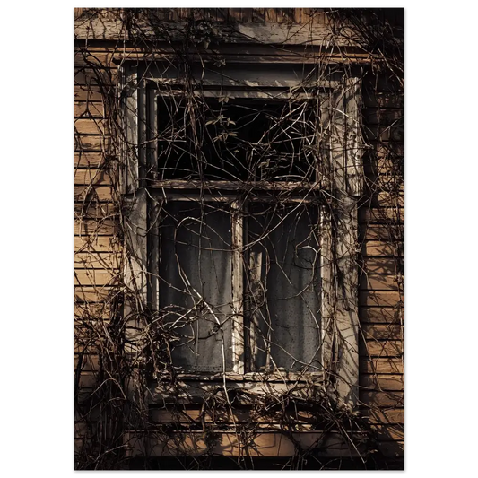 Forgotten Window of a Finnish Wooden House - Poster - Rather Be In Finland