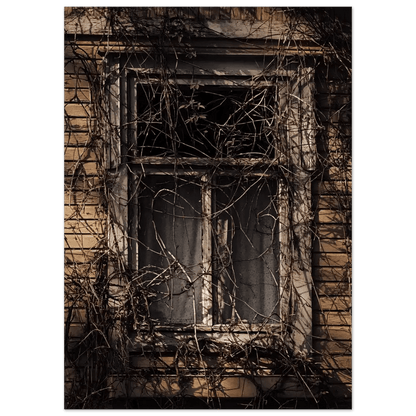 Forgotten Window of a Finnish Wooden House - Poster - Rather Be In Finland