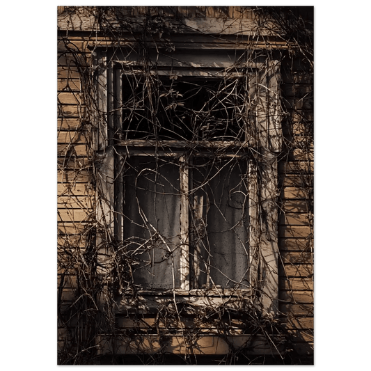 Forgotten Window of a Finnish Wooden House - Poster - Rather Be In Finland