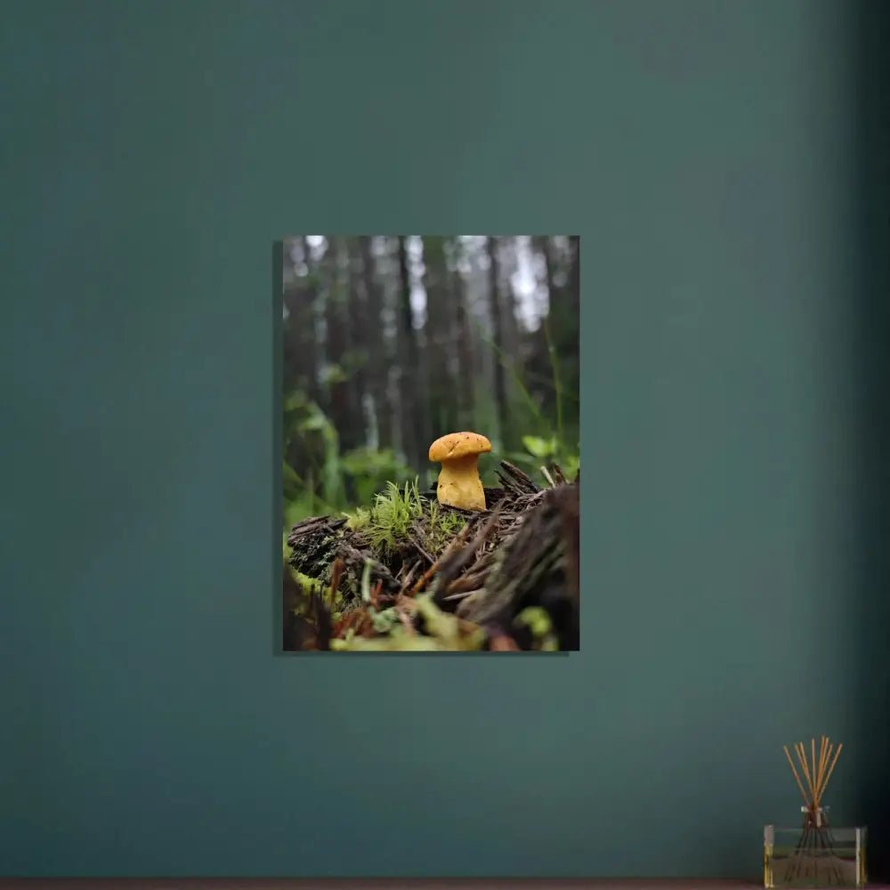 Golden Chanterelle in Finnish Forest - Poster - Rather Be In Finland