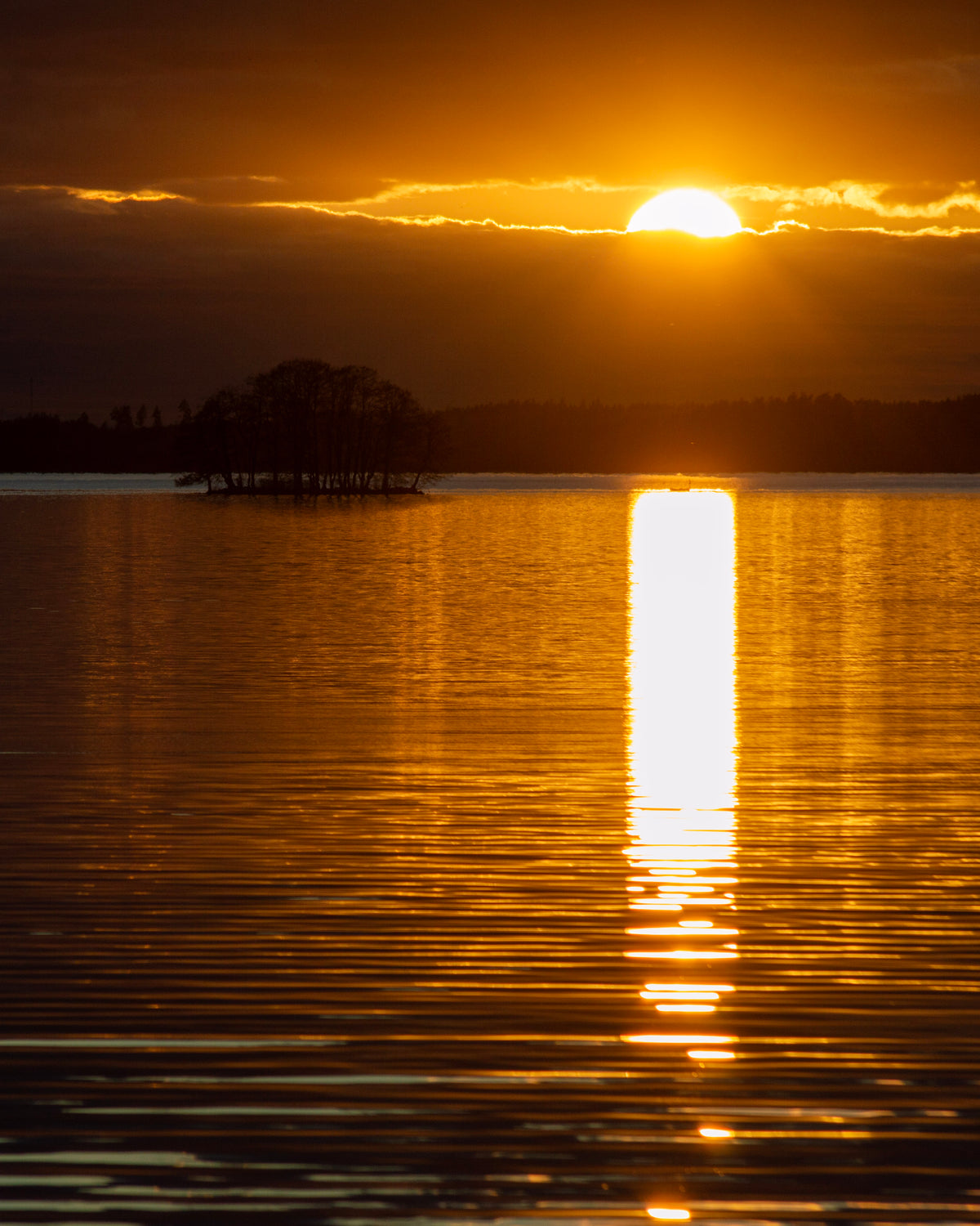 Golden sunlight reflected across a Finnish lake, photographed by Teemu