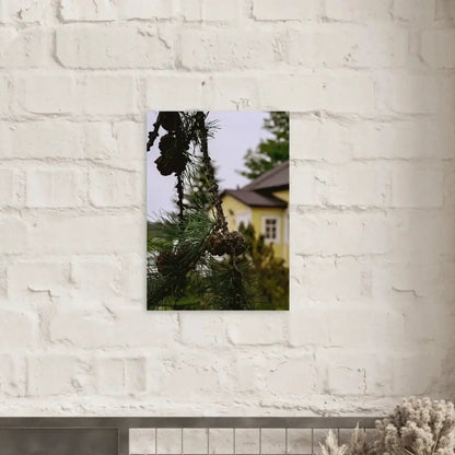 Pine Branch and Old Finnish Log House - Poster - Rather Be In Finland
