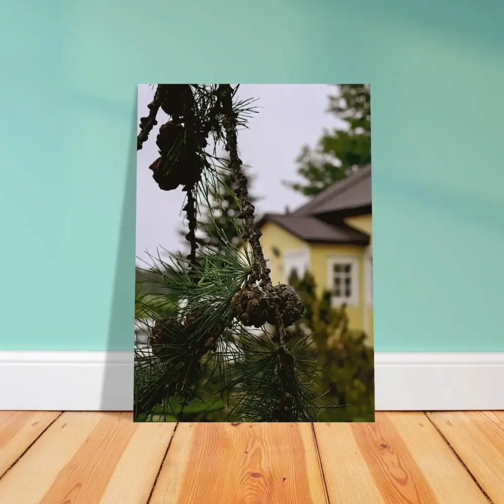 Pine Branch and Old Finnish Log House - Poster - Rather Be In Finland