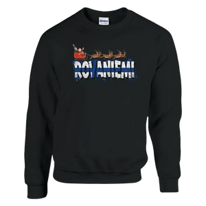 Photo du produit : sweat-shirt au motif « Rovaniemi Santa Sleigh » de Rather Be in Finland