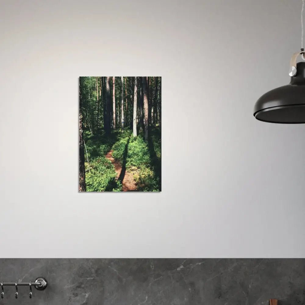 Sunlit Path in a Finnish Pine Forest - Poster - Rather Be In Finland