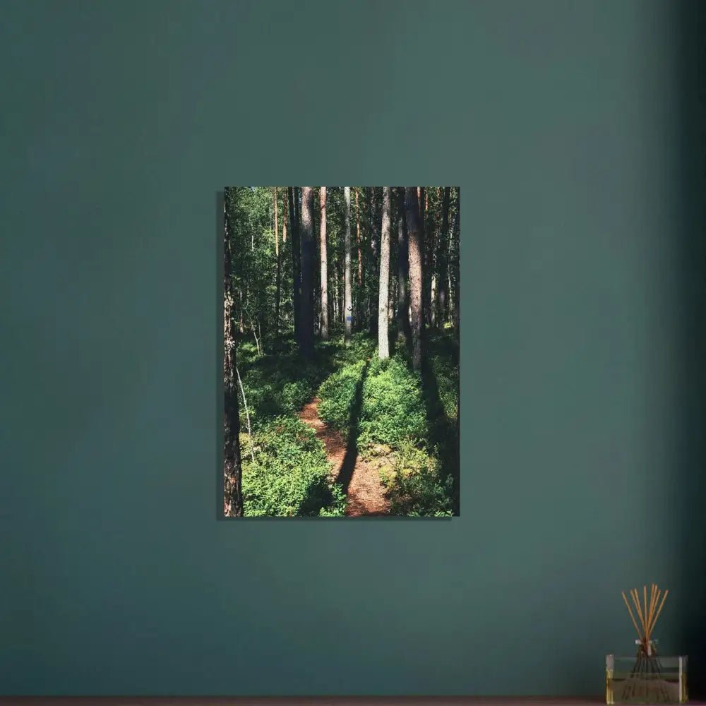 Sunlit Path in a Finnish Pine Forest - Poster - Rather Be In Finland