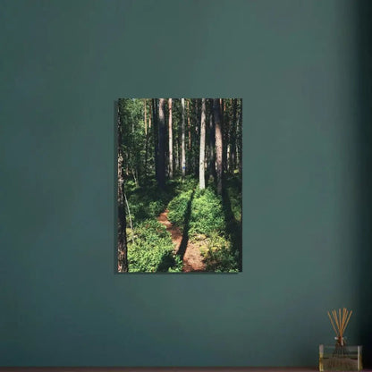 Sunlit Path in a Finnish Pine Forest - Poster - Rather Be In Finland