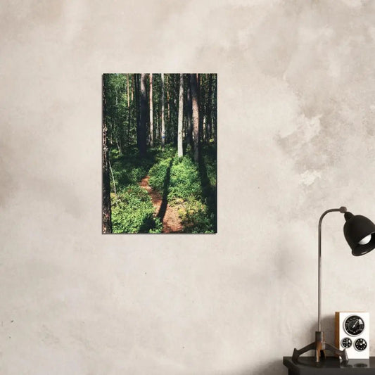 Sunlit Path in a Finnish Pine Forest - Poster - Rather Be In Finland
