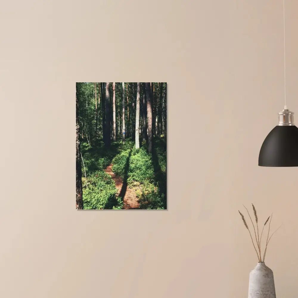 Sunlit Path in a Finnish Pine Forest - Poster - Rather Be In Finland