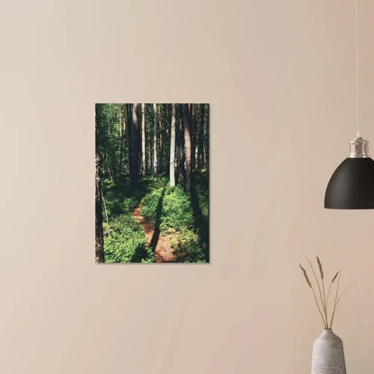 Sunlit Path in a Finnish Pine Forest - Poster - Rather Be In Finland