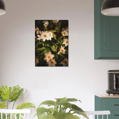 Wood Anemone Wildflower Carpet - Poster - Rather Be In Finland