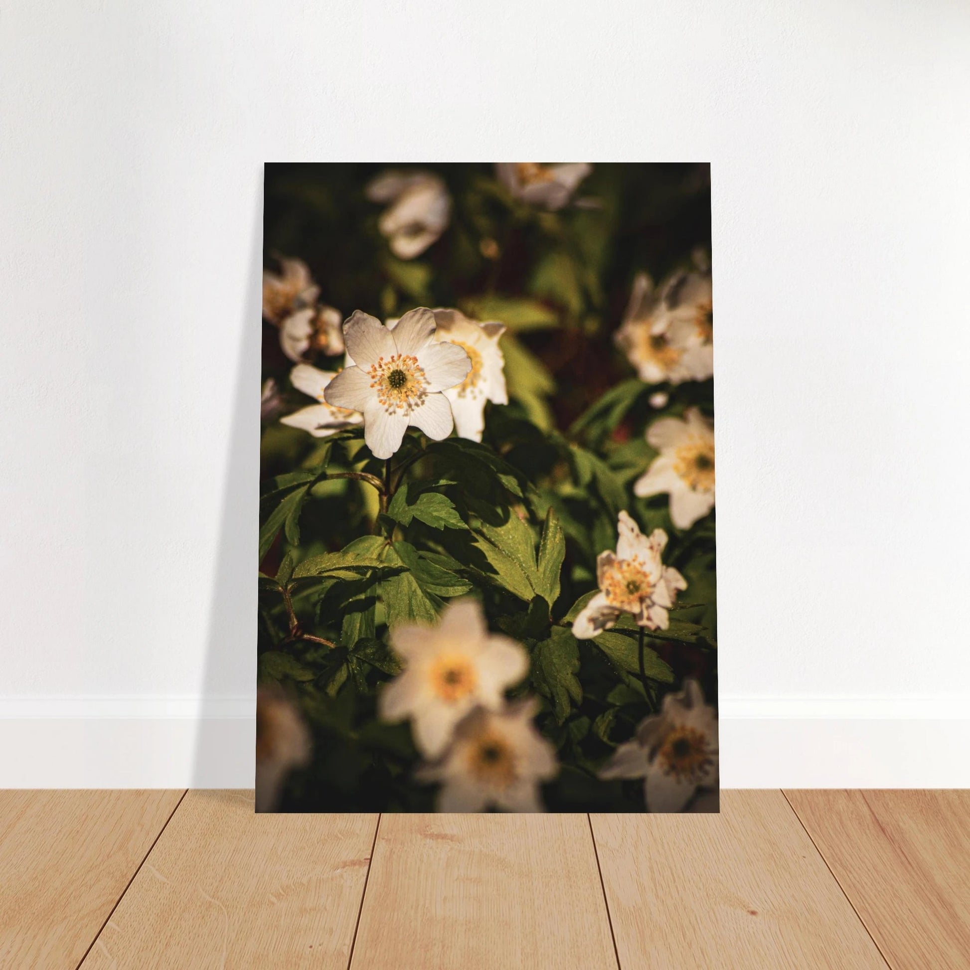 Wood Anemone Wildflower Carpet - Poster - Rather Be In Finland