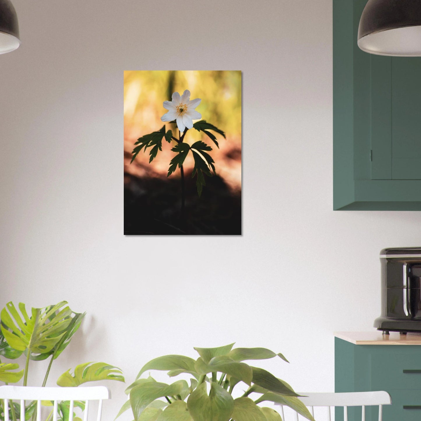 Wood Anemone Wildflower - Poster - Rather Be In Finland