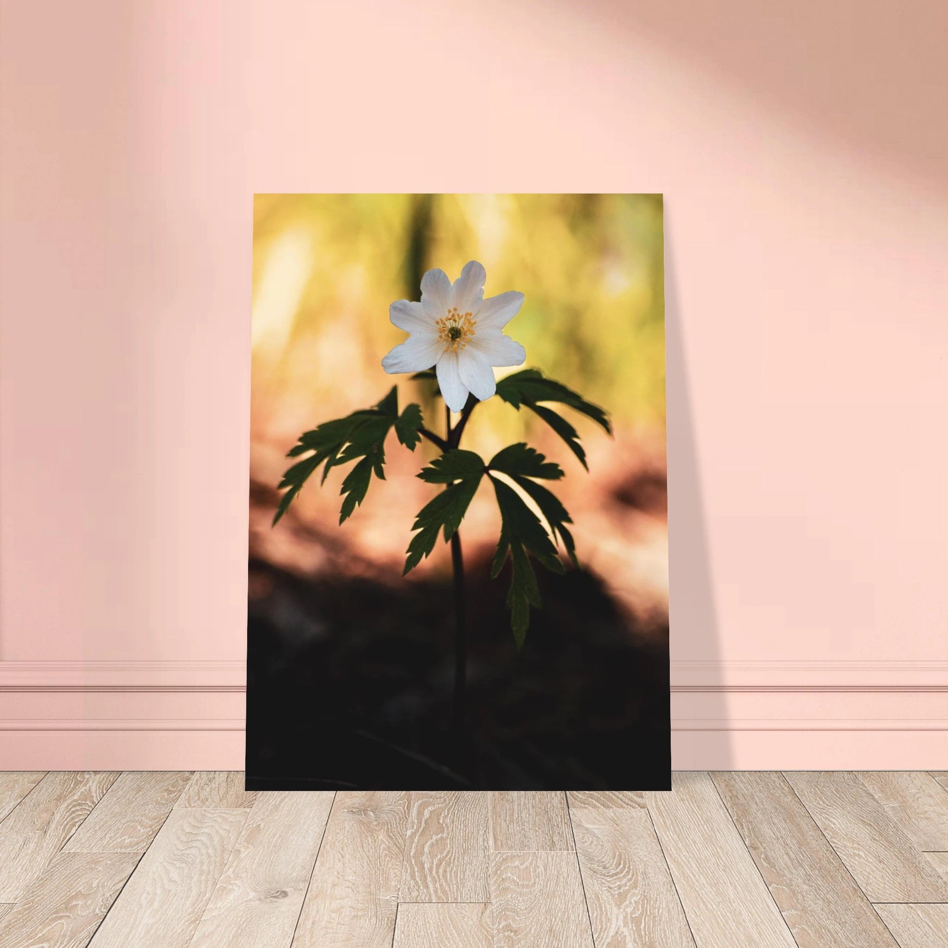 Wood Anemone Wildflower - Poster - Rather Be In Finland