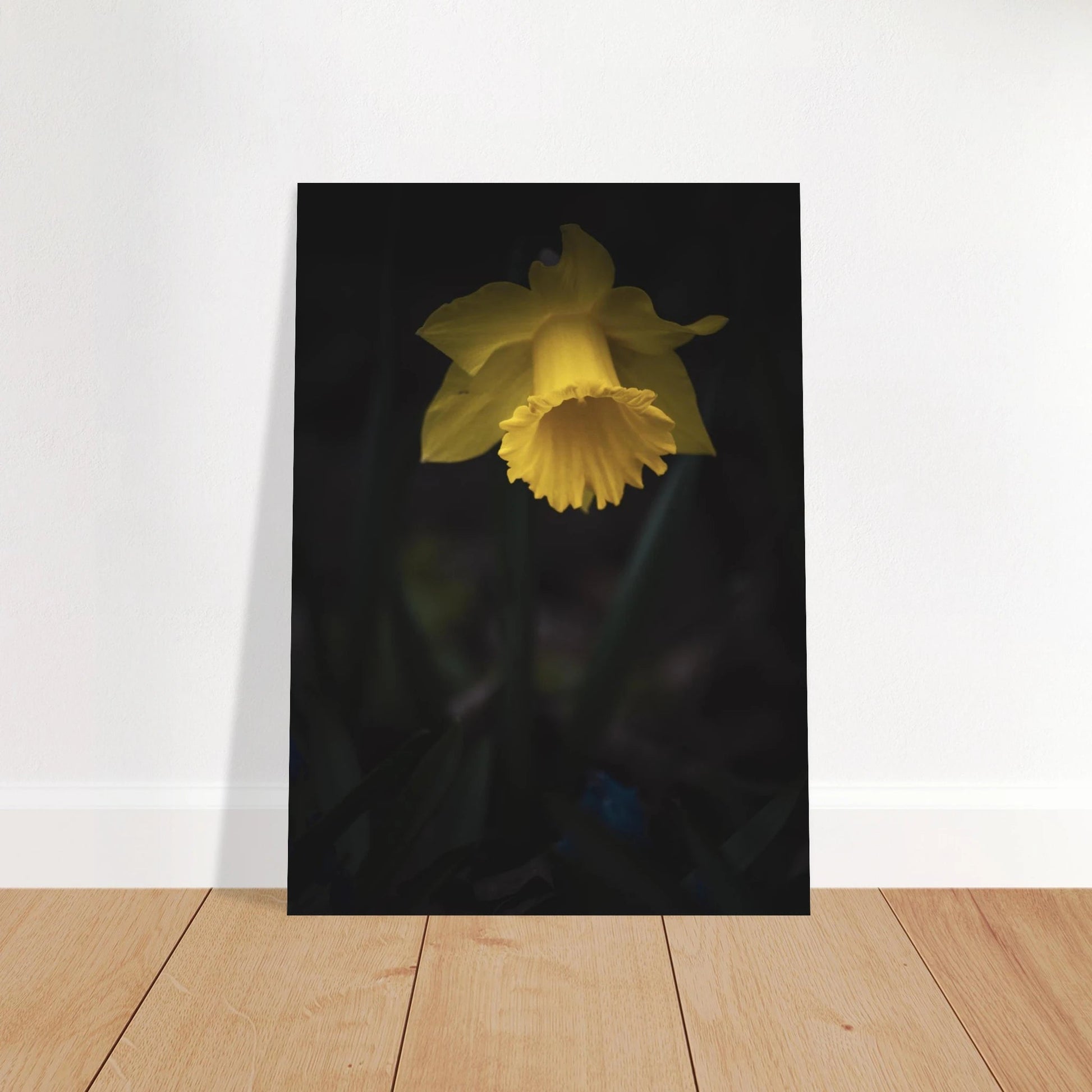 Yellow Daffodil Flower Closu Up - Poster - Rather Be In Finland