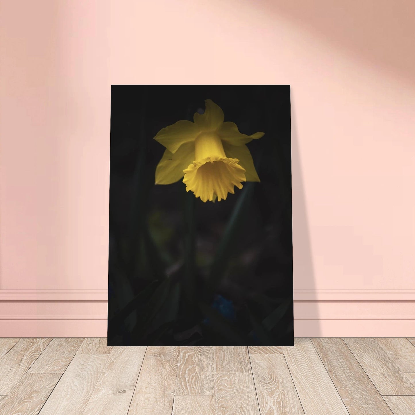 Yellow Daffodil Flower Closu Up - Poster - Rather Be In Finland