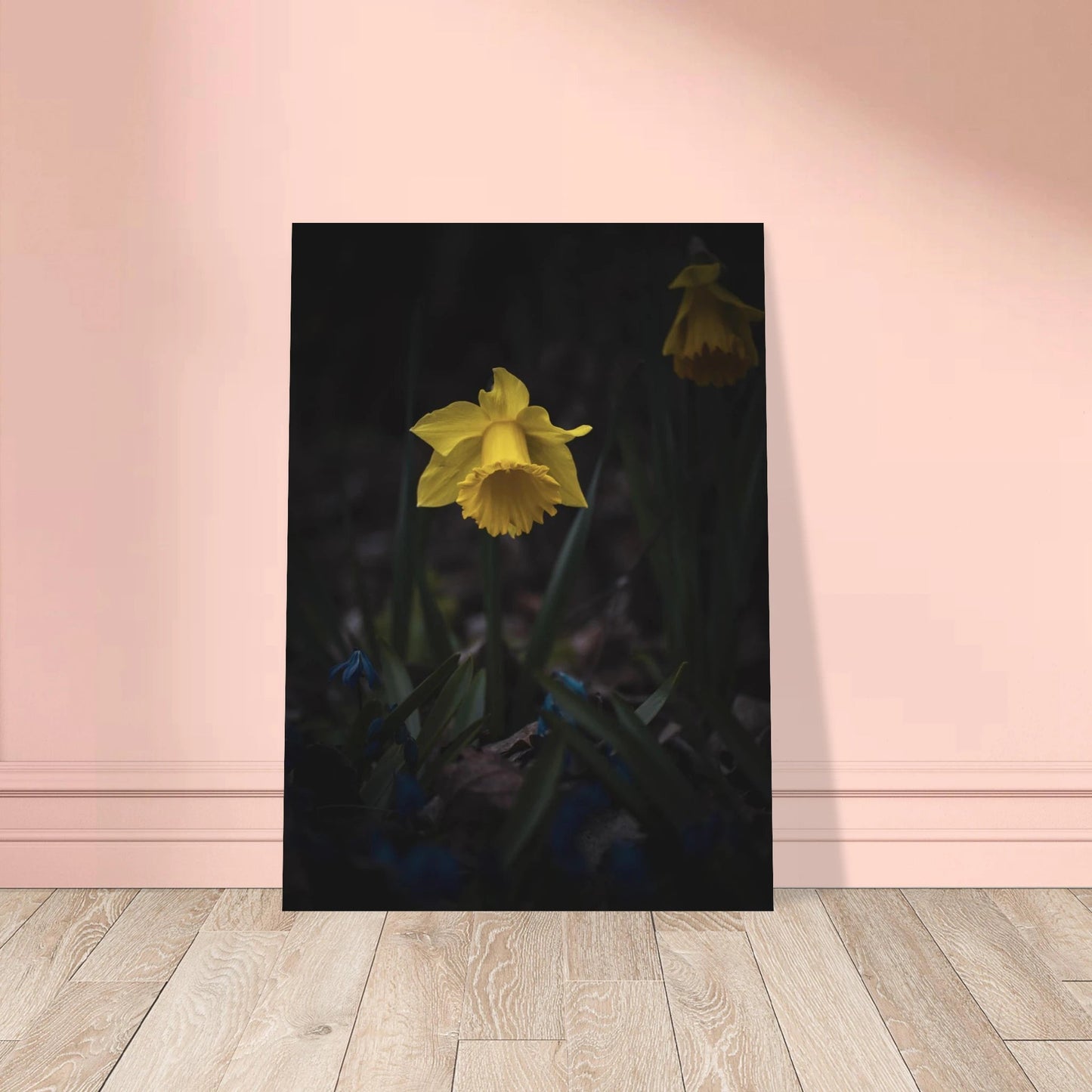 Yellow Daffodil Flower - Poster - Rather Be In Finland