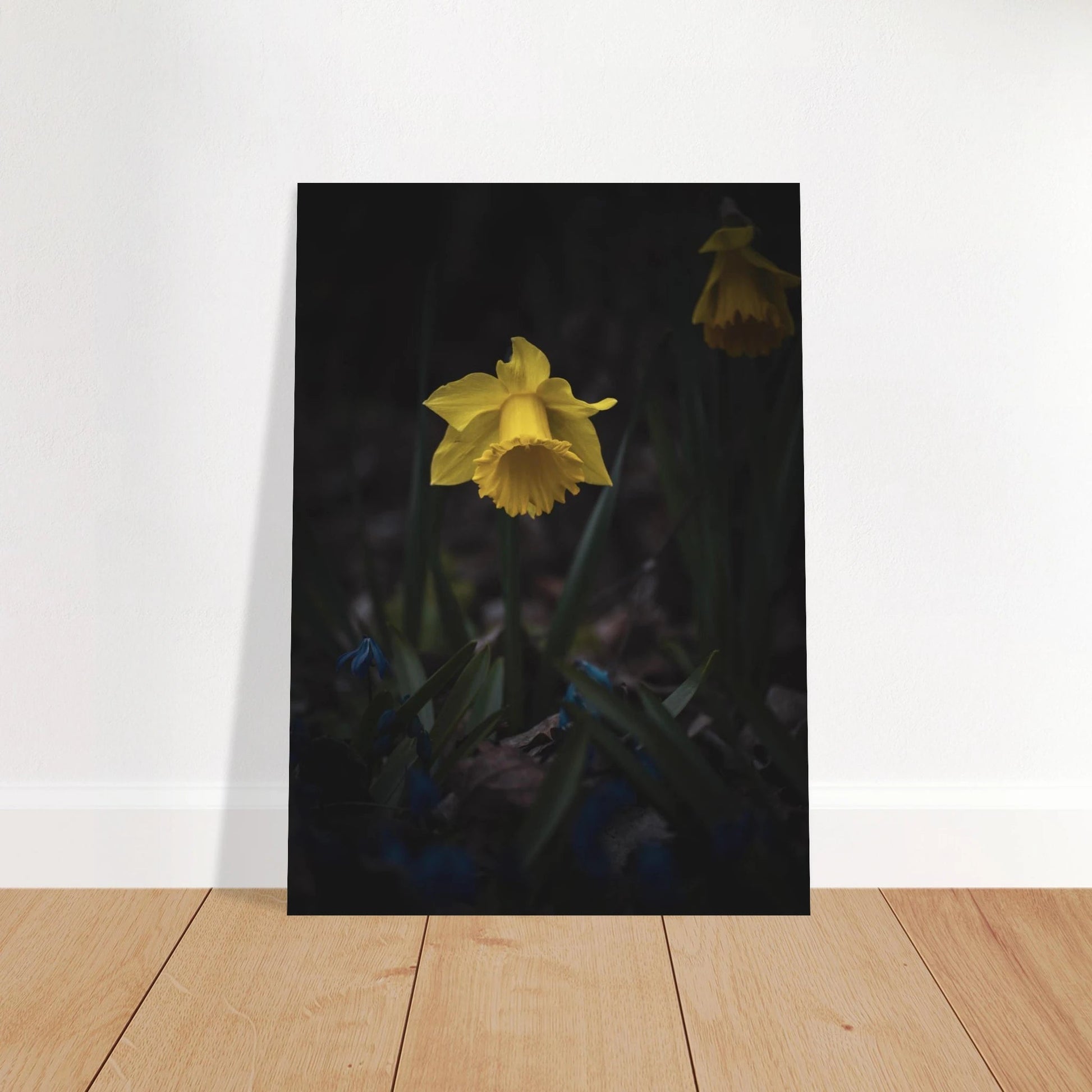 Yellow Daffodil Flower - Poster - Rather Be In Finland